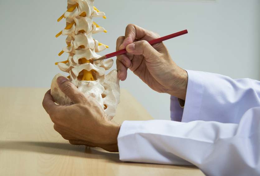 The Connection Between Weight, Posture, and Spine Health